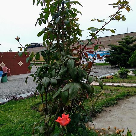 Motel Sahara Suites Barranca Eksteriør bilde