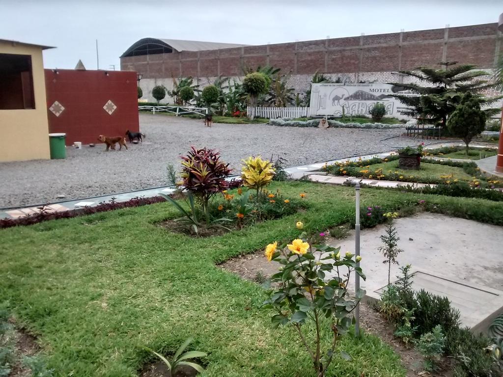 Motel Sahara Suites Barranca Eksteriør bilde