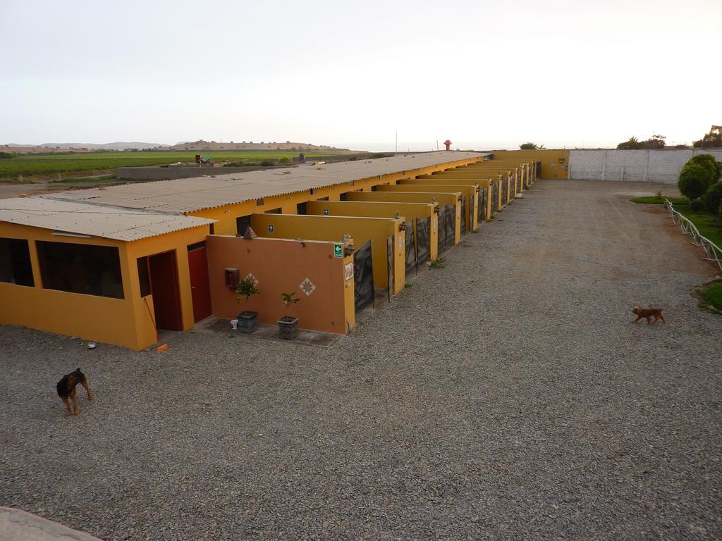 Motel Sahara Suites Barranca Eksteriør bilde